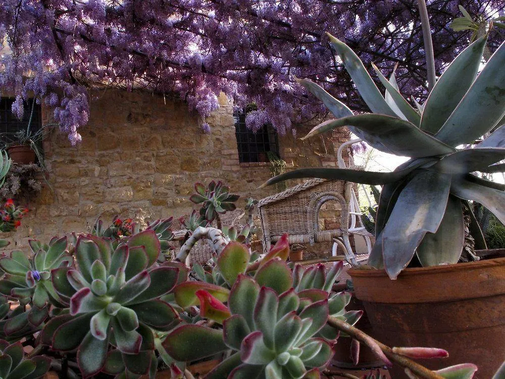 Apartment Il Rosolaccio Guest House San Gimignano