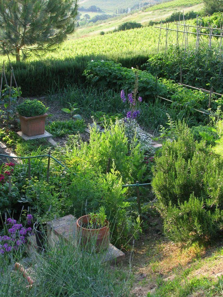 Apartment Il Rosolaccio Guest House San Gimignano