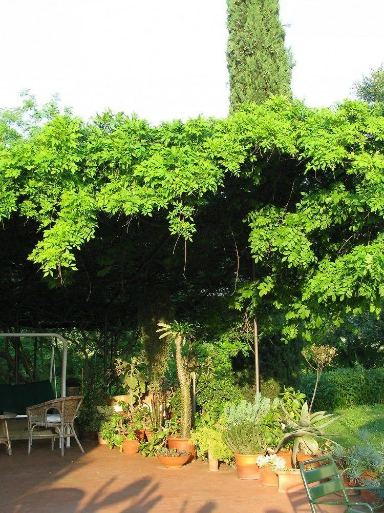 Il Rosolaccio Guest House San Gimignano Italy
