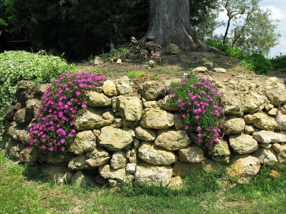 Apartment Il Rosolaccio Guest House San Gimignano
